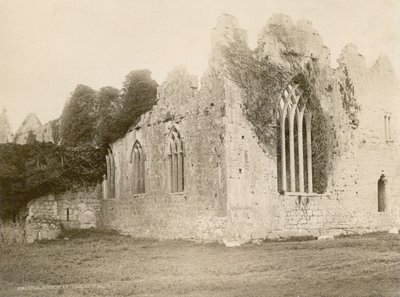 Askeaton Abbey by Robert French
